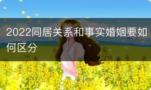 2022同居关系和事实婚姻要如何区分