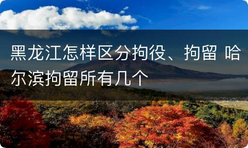 黑龙江怎样区分拘役、拘留 哈尔滨拘留所有几个