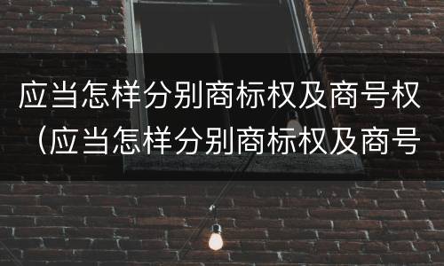 应当怎样分别商标权及商号权（应当怎样分别商标权及商号权和商标权）