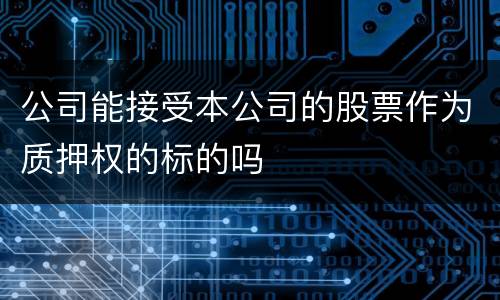 公司能接受本公司的股票作为质押权的标的吗