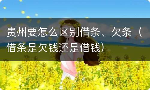 贵州要怎么区别借条、欠条（借条是欠钱还是借钱）