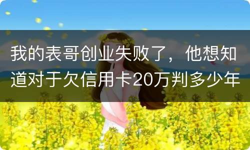 我的表哥创业失败了，他想知道对于欠信用卡20万判多少年
