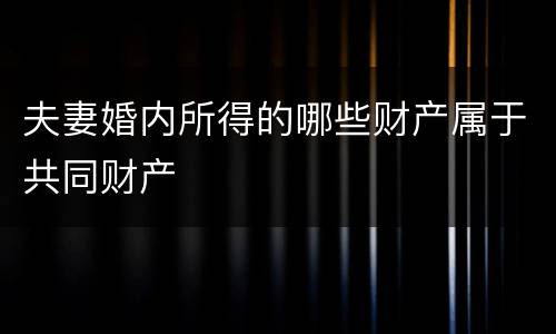 夫妻婚内所得的哪些财产属于共同财产