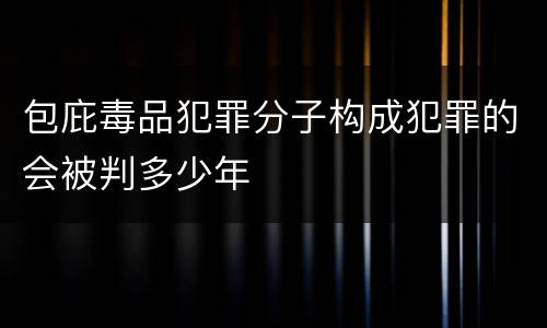 包庇毒品犯罪分子构成犯罪的会被判多少年