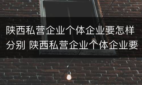 陕西私营企业个体企业要怎样分别 陕西私营企业个体企业要怎样分别认定