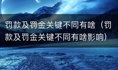 罚款及罚金关键不同有啥（罚款及罚金关键不同有啥影响）