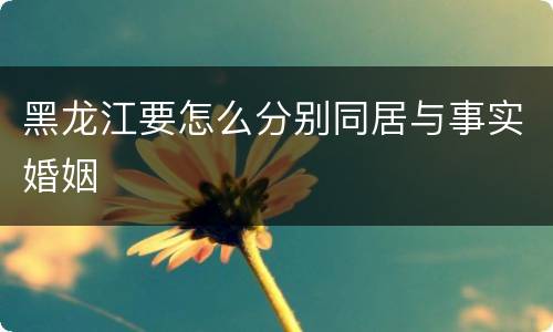 黑龙江要怎么分别同居与事实婚姻