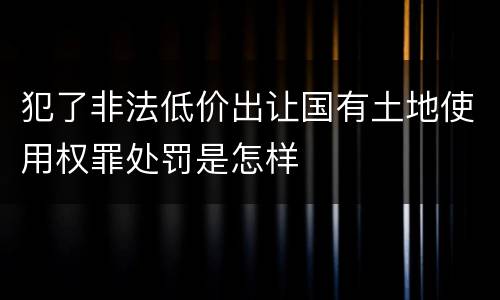 犯了非法低价出让国有土地使用权罪处罚是怎样