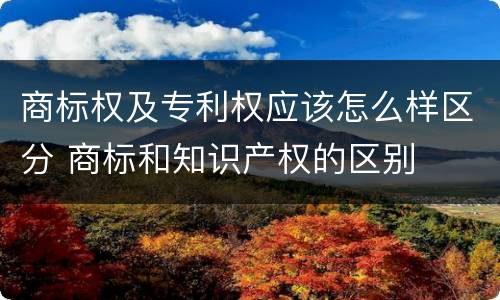 商标权及专利权应该怎么样区分 商标和知识产权的区别