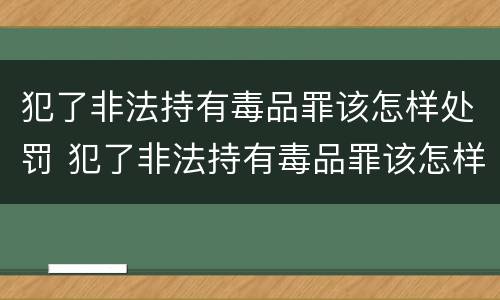 犯了非法持有毒品罪该怎样处罚 犯了非法持有毒品罪该怎样处罚他