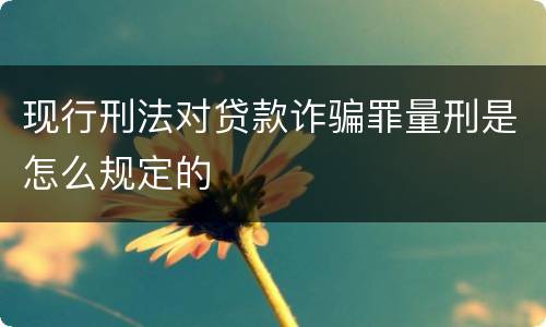 现行刑法对贷款诈骗罪量刑是怎么规定的