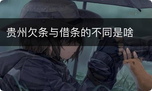 贵州欠条与借条的不同是啥