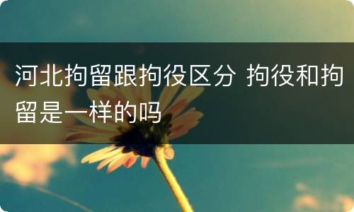 河北拘留跟拘役区分 拘役和拘留是一样的吗
