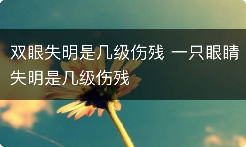 双眼失明是几级伤残 一只眼睛失明是几级伤残