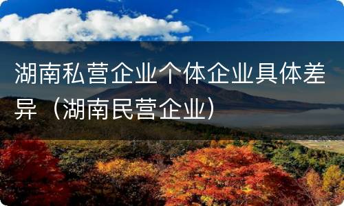 湖南私营企业个体企业具体差异（湖南民营企业）