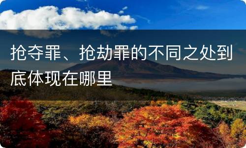 抢夺罪、抢劫罪的不同之处到底体现在哪里