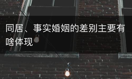 同居、事实婚姻的差别主要有啥体现