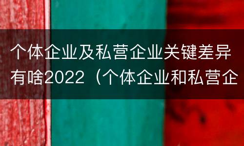 个体企业及私营企业关键差异有啥2022（个体企业和私营企业有什么区别）