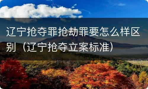 辽宁抢夺罪抢劫罪要怎么样区别（辽宁抢夺立案标准）