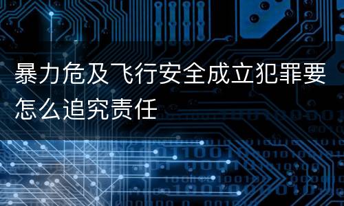暴力危及飞行安全成立犯罪要怎么追究责任