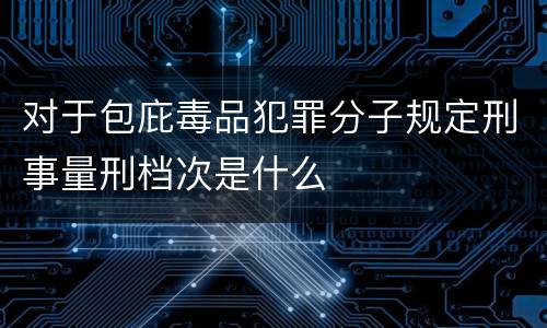 对于包庇毒品犯罪分子规定刑事量刑档次是什么