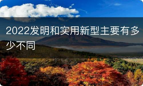 2022发明和实用新型主要有多少不同