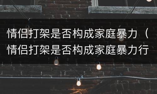 情侣打架是否构成家庭暴力（情侣打架是否构成家庭暴力行为）