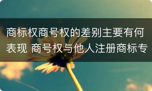 商标权商号权的差别主要有何表现 商号权与他人注册商标专用权的冲突