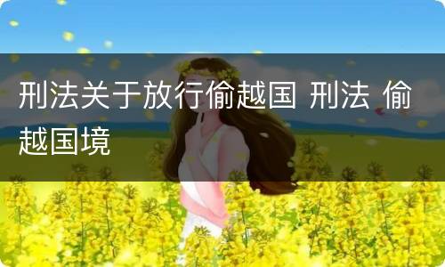 刑法关于放行偷越国 刑法 偷越国境