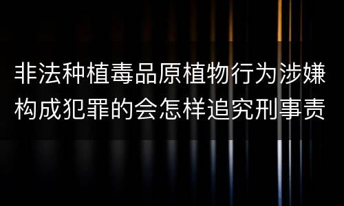 非法种植毒品原植物行为涉嫌构成犯罪的会怎样追究刑事责任