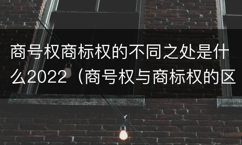 商号权商标权的不同之处是什么2022（商号权与商标权的区别）
