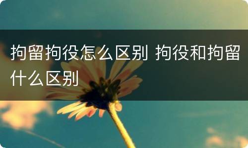 拘留拘役怎么区别 拘役和拘留什么区别