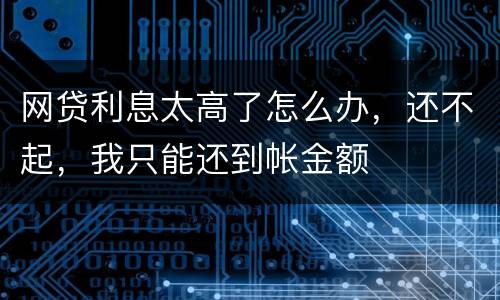 网贷利息太高了怎么办，还不起，我只能还到帐金额