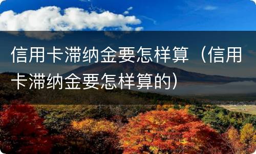 信用卡滞纳金要怎样算（信用卡滞纳金要怎样算的）