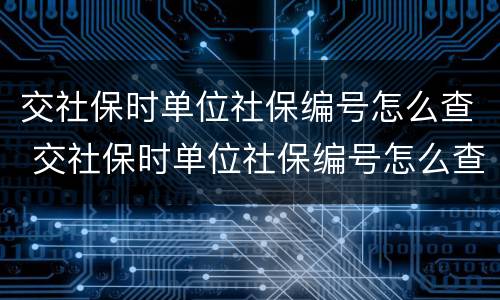 交社保时单位社保编号怎么查 交社保时单位社保编号怎么查看