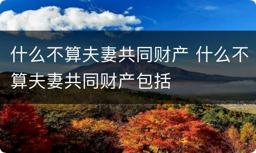 什么不算夫妻共同财产 什么不算夫妻共同财产包括