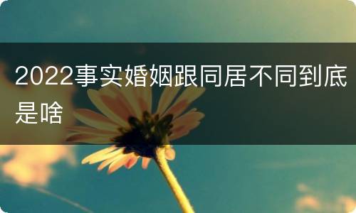 2022事实婚姻跟同居不同到底是啥