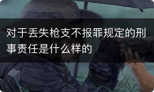 对于丢失枪支不报罪规定的刑事责任是什么样的