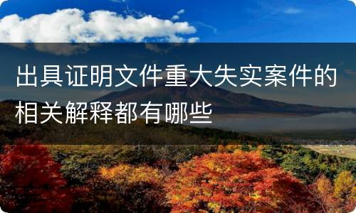 出具证明文件重大失实案件的相关解释都有哪些