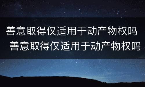 善意取得仅适用于动产物权吗 善意取得仅适用于动产物权吗