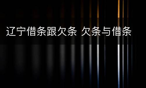 辽宁借条跟欠条 欠条与借条