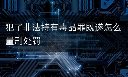 犯了非法持有毒品罪既遂怎么量刑处罚