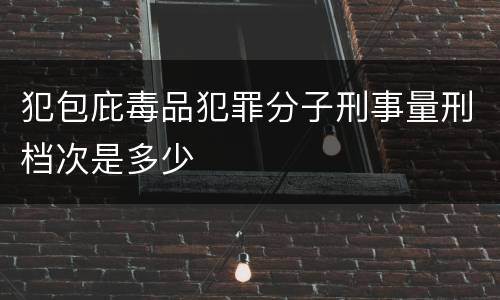 犯包庇毒品犯罪分子刑事量刑档次是多少