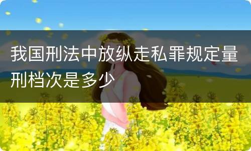 我国刑法中放纵走私罪规定量刑档次是多少