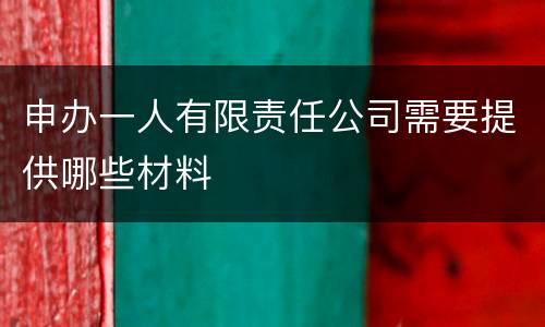 申办一人有限责任公司需要提供哪些材料