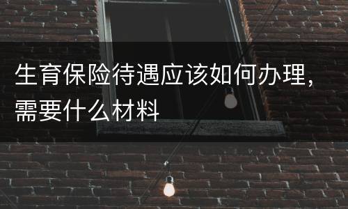 生育保险待遇应该如何办理，需要什么材料