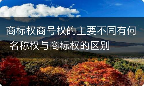 商标权商号权的主要不同有何 名称权与商标权的区别