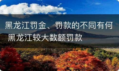 黑龙江罚金、罚款的不同有何 黑龙江较大数额罚款