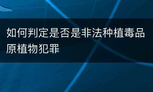 如何判定是否是非法种植毒品原植物犯罪