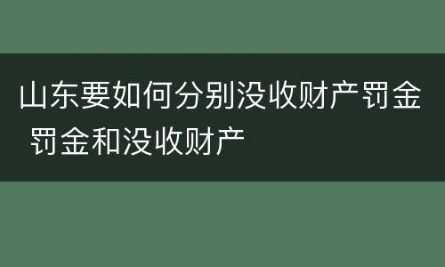 山东要如何分别没收财产罚金 罚金和没收财产